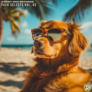 NiQO, Dennis AF – Pack Selects, Vol. 02