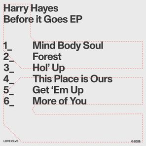 Harry Hayes – Before It Goes – EP