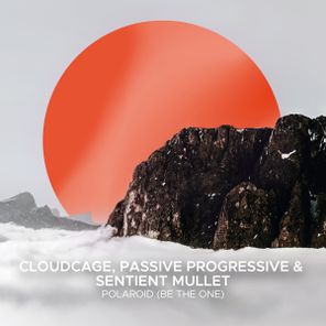 Passive Progressive, Cloudcage – Polaroid (Be The One)