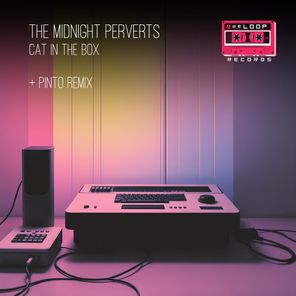 Pinto, The Midnight Perverts – Cat in the Box