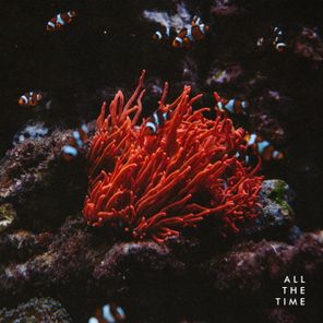 Broj – All The Time