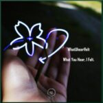 Eddie ZAR, WhatUhearIfelt – What You Hear, I Felt.