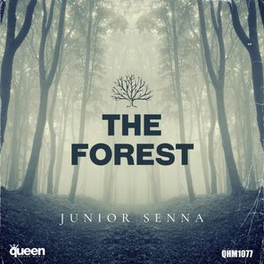 Junior Senna – The Forest