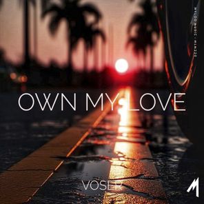 Voser – Own My Love