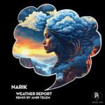 Amir Telem, Narik – Weather Report