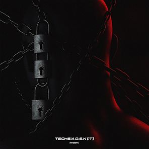 D.S.K (IT), Techsia – Parpi