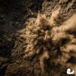 Tham, Impulsive Behaviour – Knuckle Head
