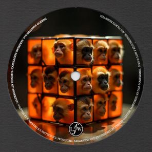 Enrico Mantini, Sabatino Matteucci – A Bunch Of Monkeys