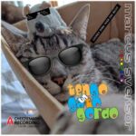 Marcus Svensor, Dark Tiger – Tengo un Gato Gordo (Luckies Dark Tiger Mix Recut)