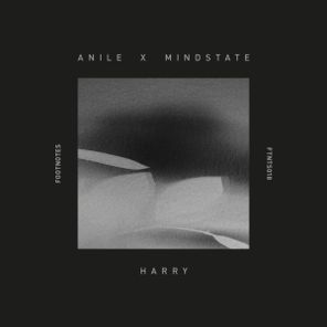 Anile, Mindstate – Harry