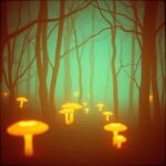 Djjohnhitech – forest