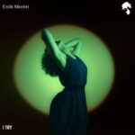 Erdit Mertiri – I Try