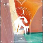 Cafe De Anatolia, Martin Hiska – Veil