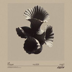 Ulf Mayer – Mg 17