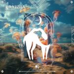 Cafe De Anatolia, WVONK – Drahma