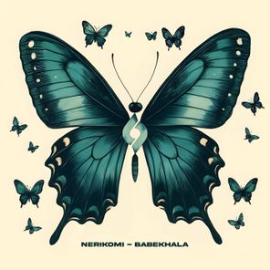 Nerikomi – Babekhala