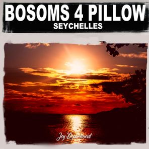 Bosoms 4 Pillow – Seychelles