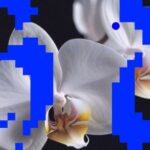 67a25916 baf2 4eae b710 8ff6879f0ee6
