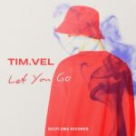 Tim.Vel – Let You Go (Original Mix)