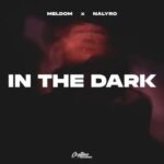NALYRO, Meldom – In The Dark