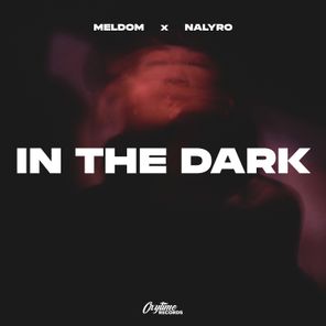 NALYRO, Meldom – In The Dark