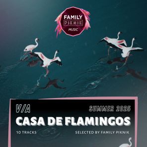 Tom Pooks, SLP – Family Piknik – Casa de Flamingos – Summer 2025