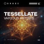 Carlos Mendoza, Elias R – Tessellate