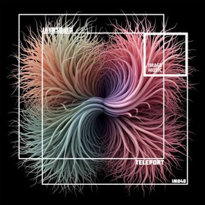 Javasquid – Teleport