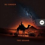 Dj SHocK – The Sound