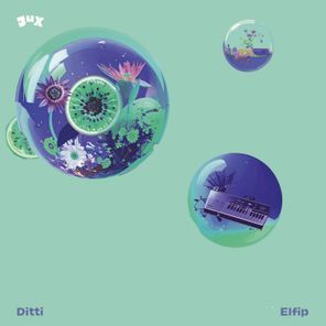 Ditti – Elfip