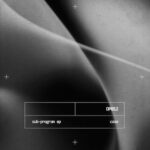 Case – Sub-Program EP