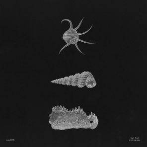 Trail – Tenebris