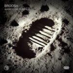 Status Zero, Broosh – What Else Is Real?