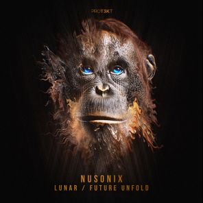 Nusonix – Lunar/Future Unfold