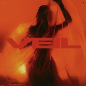 SLWDWN – Veil