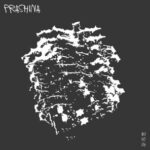 Andrea Ljekaj, Sven Nalis – Prashina