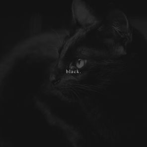 Roald Velden – Black