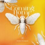 MainDain, Rhytmograph – Coming Home