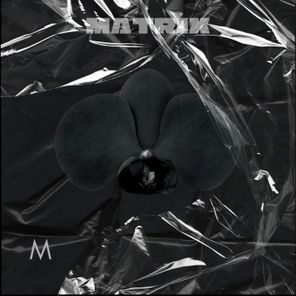 Gisella Engel, After Kollaps – Matrix