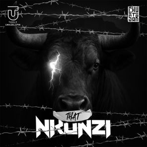 Chustar, Toolz Umazelaphi – That Nkunzi