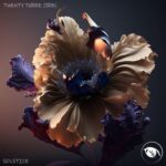 Twenty Three (SRB) – Solstice