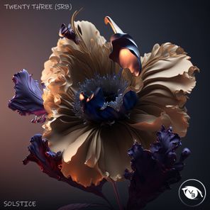 Twenty Three (SRB) – Solstice