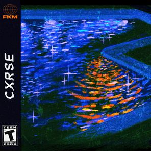 CXRSE – Noise & Memory