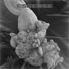 Gisella Engel, Orika – Essence