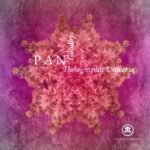 P A N – Holographic Universe