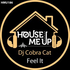 Dj Cobra Cat – Feel It
