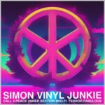 Simon Vinyl Junkie, Terror Fabulous – Call 4 Peace