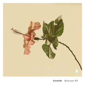 Pheek, Djima – Blossom