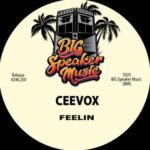 Ceevox – Feelin