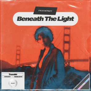 Palm Monkey – Beneath The Light